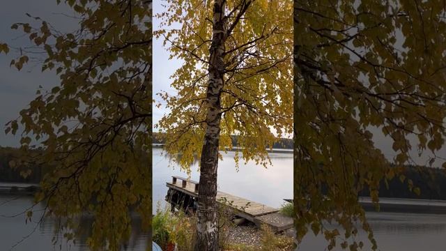 Карелия. Кондопога. Золотая осень. Утро в Карелии