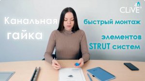 STRUT Гайка канальная для быстрого монтажа элементов СТРАТ-систем CLiVE