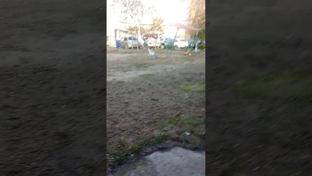 лучший матч