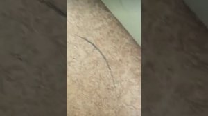 СО МНОЙ ВОЮЕТ САТАНА!🥵😈☠️ (Сборник видео