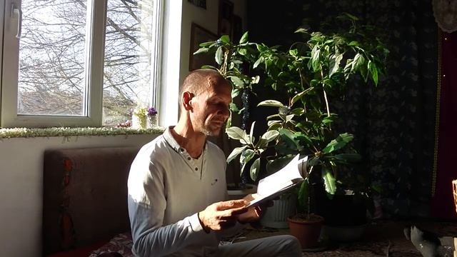 Семинар выходного дня смотреть онлайн