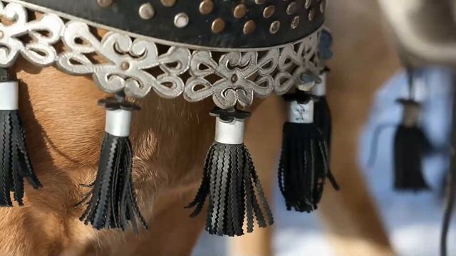 Бешеная тройка