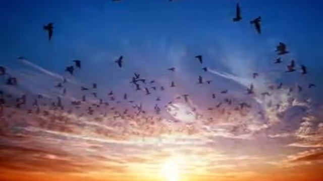 Мы в этой жизни только гости... Татьяна Снежина смотреть онлайн