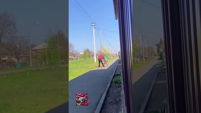 Типичная суббота