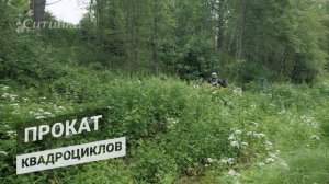 База Ситинка 2024. Большой отзор