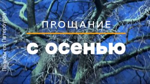 Пешком по Петербургу. Прощание с осенью. Стрелка ВО, Дворцовый мост, Нева, Мытнинская набережная