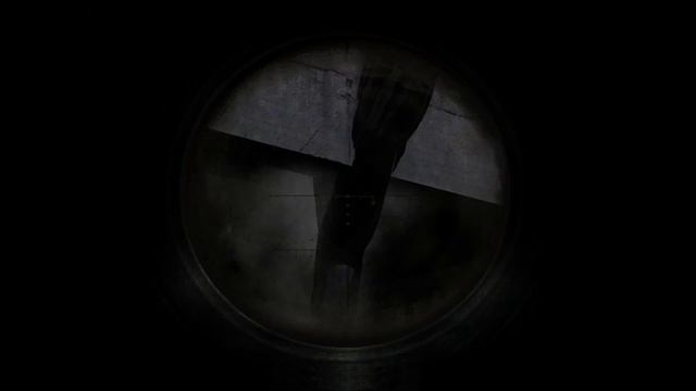 [STALKER] Spatial distortion anomaly detected! смотреть онлайн