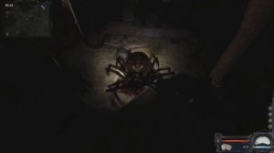 stalker МАНУЭЛЬ БОМБИТ НА СТРИМЕ
