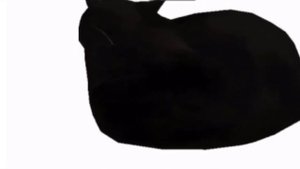 CAT MAXWELL SPIN MEME 1 ЧАС