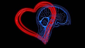 ГᴀᴘMᴏʜизᴀция ᴄᴇᴘдцᴀ и мозга ~ 0,1 Гц~ биʜᴀʏᴘᴀльʜыᴇ ᴘитMы.