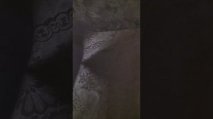 всех с хэлоином