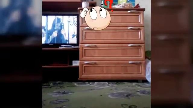 Мои туфли смотреть онлайн