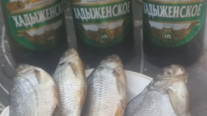 ВЯЛИМ  ТАРАНЬ ПО КУБАНСКИ