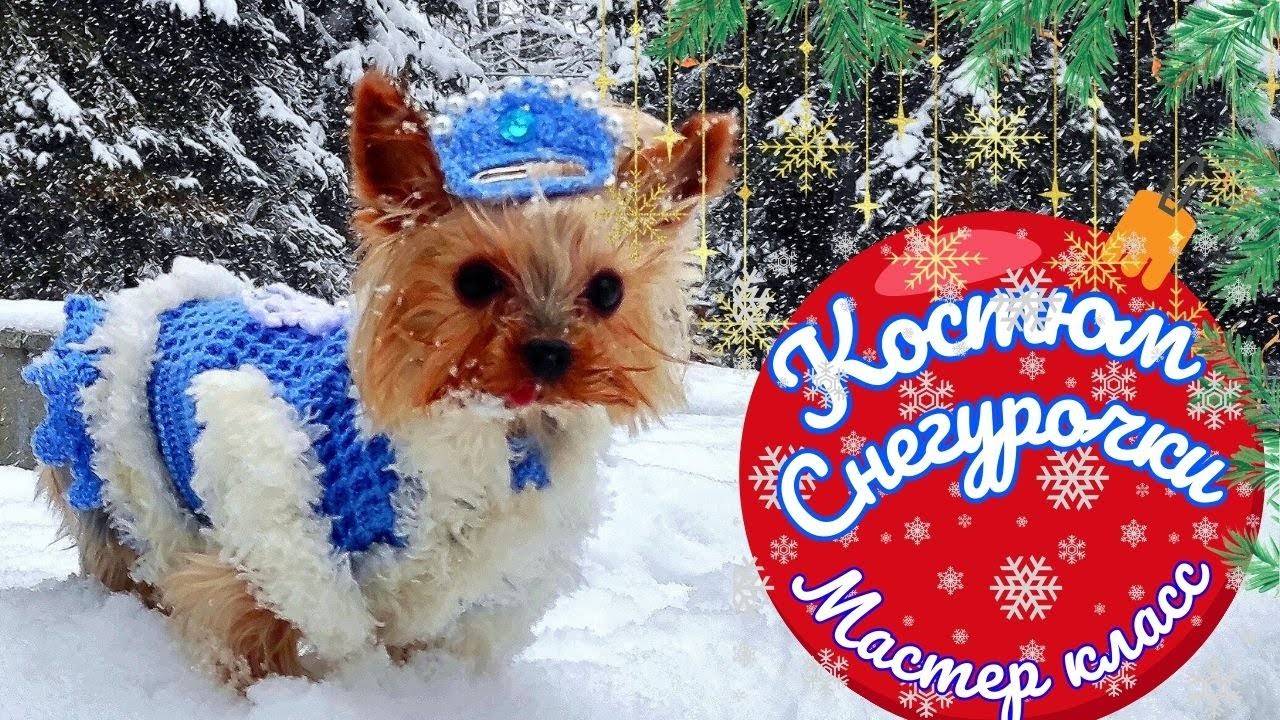 Новогодний костюм Cнегурочки для собак — Мастер класс по вязанию крючком смотреть онлайн