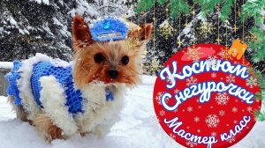 Новогодний костюм Cнегурочки для собак — Мастер класс по вязанию крючком