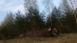 Уроки эндуро. Бревно.