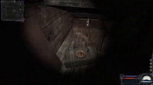 S.T.A.L.K.E.R. Clear Sky (Ищем тайники на болотах)