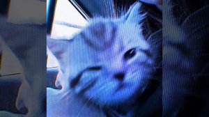 Тату - Робот|||speed up