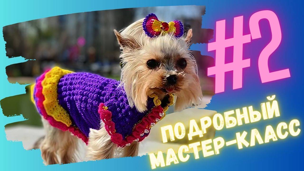 Вяжем крючком платье для собак для мелких пород: 2 часть мастер-класса