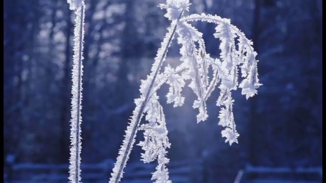 Вивальди - Зима (Времена года)