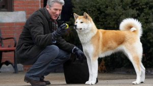 Обзор фильма" Хатико"