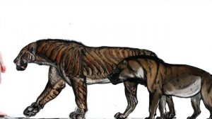 Dinocrocuta gigantea. Who, is the mightiest hyena?! | Skulltalk |