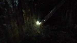 Заброшенная штольня по добыче золота