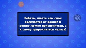 бабл квас