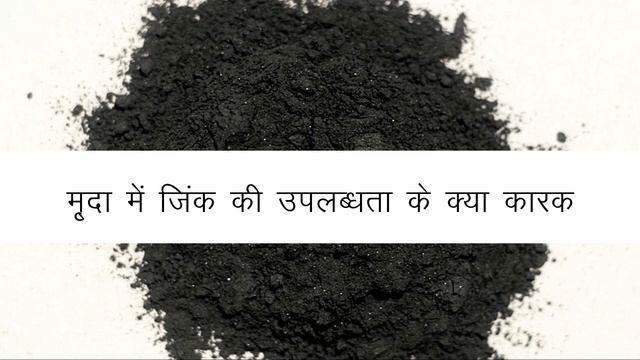 जिंक की कमी से पौधों में होने वाले रोग एवं उनकी पहचान смотреть онлайн