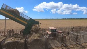 Case IH Puma 180 Sugar special with a 14ton Carta&co Bin