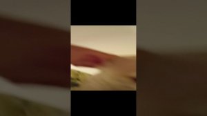 чел пук хотел сожрать мой обед