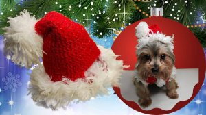 Новогодняя шапка (колпак) Санты для собаки крючком