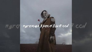 Mnogoznaal© - Круг Ветров 2020 [Visual Design] [ FULL ALBUM ]