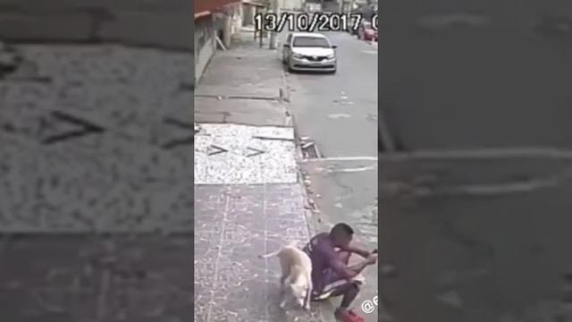 Приколы