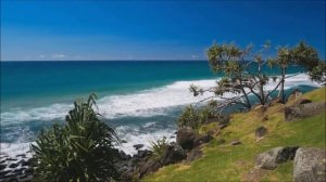 Вадим Зеланд. Важность .