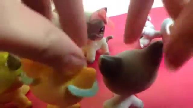 Lps:Пропасть в Чернобиль(1серия,ЧтО ТаКоЕ ЧеРнОбЕлЬ?)