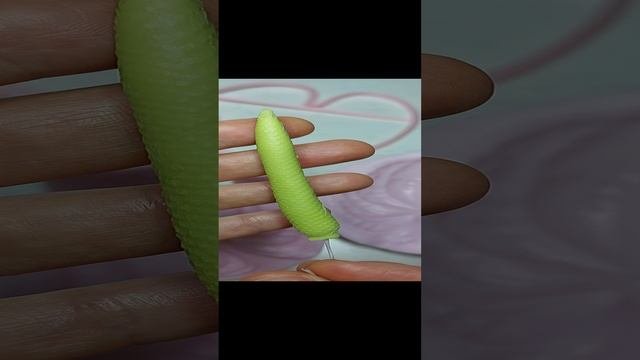 1000015198.mp4
