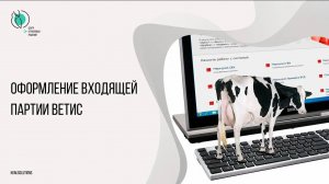 Оформление входящей партии ВетИС