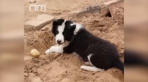 She's a Genius ~ A Country Woman Renovates a Old house ~She did a great job | Renovation