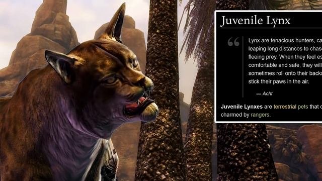 Guild Wars 2 | Ranger Pet Guide: Feline | The Herald