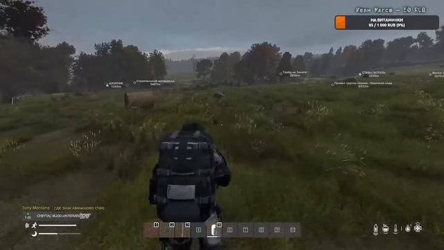 ВАЙП ПРОШЕЛ. ВЫПОЛНЯЕМ КВЕСТЫ ► DAYZ АТМОСФЕРА #19 смотреть онлайн