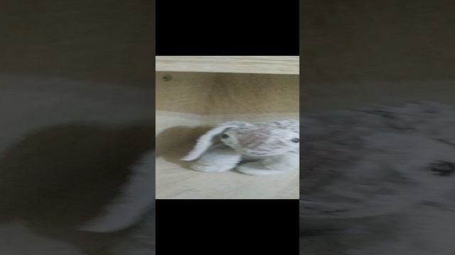 смотри ПОТОМ!