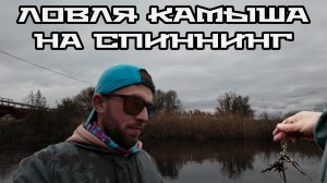 Спиннинговая ловля. Поимка камыша. Спиннинг это не Моё. Есть пробитие.