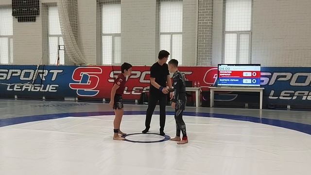 Открытый турнир по спортивной борьбе грэпплинг "LION challenge" в городе Ярославль,27 октября 2024г
