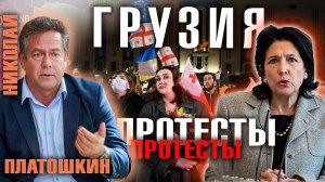 Николай ПЛАТОШКИН - О ВЫБОРАХ И ПРОТЕСТАХ В ГРУЗИИ