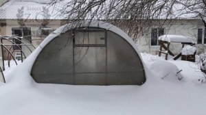 Усиленная теплица спустя 7 лет