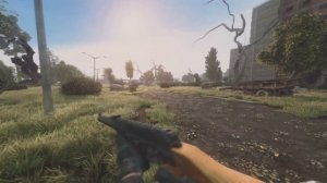 Stalker Anomayl C Consciousness Grass Overhaul