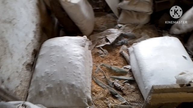 Сколько съедают денег на откорме 25 свиней в сутки. Закончил обвязку котла.