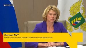 Виктор Томенко доложил президенту об окончании уборочной кампании в Алтайском крае