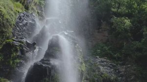 Natural beauty